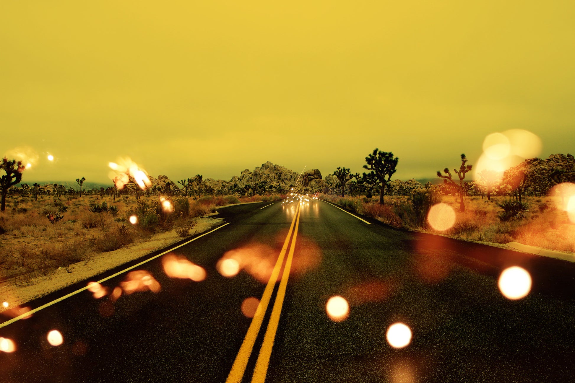 "Light Theory #6," by Shannon Black  is a fine art photograph that draws viewers into a mesmerizing world where light, solitude, and the allure of the open road converge. The road in the Joshua Tree desert stretches straight into the distance, with the vibrant yellow lines becoming the center frames of the image. Juxtaposed over the road, sparks of light add a dynamic and magical element to the s